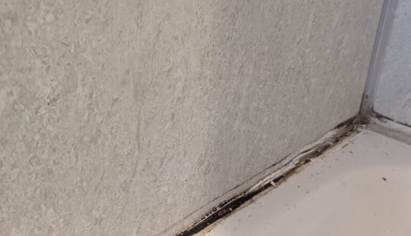 Silicone with Black Mould Silicone with Black Mould